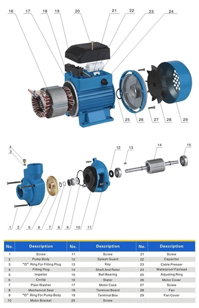QBSeries 0.5HP/0.75HP/1HP Peripheral Clean Water Pump QBSeries 0.5HP/0.75HP/1HP Peripheral Clean Water Pump